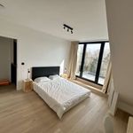 Louez une chambre de 135 m² à Ixelles