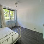 Rent 4 bedroom house of 115 m² in twente