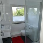 Rent 1 bedroom apartment of 46 m² in Bonn