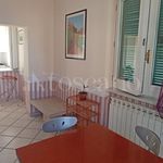 Rent 4 bedroom house of 80 m² in Frosinone