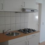 Rent 3 bedroom apartment of 35 m² in Lindenheuvel