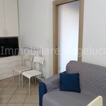 2-room flat via Monte Sccarello, Borghetto Santo Spirito