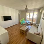 Rent 1 bedroom apartment of 87 m² in Perpignan