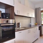 Rent 1 bedroom apartment of 23 m² in Brno