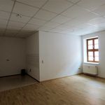 Rent 2 bedroom apartment of 49 m² in Meißen