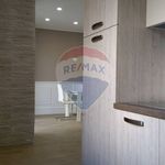 Rent 2 bedroom apartment of 55 m² in Bari