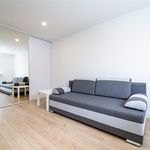 Wynajmij 1 sypialnię apartament z 25 m² w Bielsko-biała