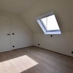 Rent 3 bedroom house of 201 m² in Ruiselede