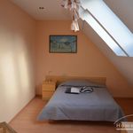 Miete 2 Schlafzimmer wohnung von 50 m² in Königslutter am Elm