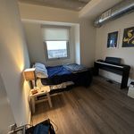 Rent 3 bedroom apartment of 1310 m² in Chicago