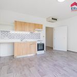 Rent 1 bedroom apartment of 30 m² in Prostějov