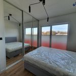Rent 2 bedroom apartment of 49 m² in Gorzów Wielkopolski