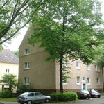 Rent 3 bedroom apartment of 81 m² in Essen