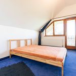 Rent 1 bedroom apartment of 236 m² in Konstantinovy Lázně
