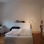 Rent 3 bedroom apartment of 117 m² in Budapest
