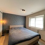 Huur 3 slaapkamer huis van 276 m² in Roeselare
