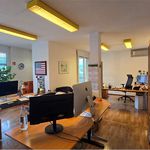 Rent 1 bedroom apartment of 65 m² in Bellinzona