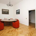 Rent 5 bedroom apartment of 228 m² in Praha