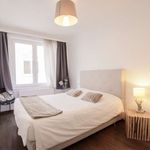 Rent 2 bedroom apartment of 50 m² in Brussel