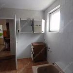 Rent 3 bedroom apartment of 110 m² in Budapest