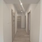 Rent 3 bedroom apartment of 54 m² in Krośniewice