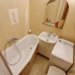 Rent 2 bedroom apartment of 40 m² in Píšťany