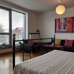 Wynajmij 1 sypialnię apartament z 55 m² w Kraków