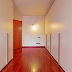 Rent 4 bedroom apartment of 150 m² in Lodi