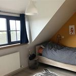 Rent 3 bedroom house in Grobbendonk
