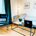Rent 1 bedroom apartment of 30 m² in Mainz