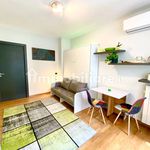 Affitto 1 camera appartamento di 45 m² in Saronno