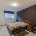 Rent 2 bedroom apartment of 101 m² in Veltem-Beisem