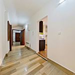 Rent 3 bedroom apartment of 73 m² in Praha