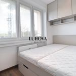 Rent 1 bedroom apartment of 40 m² in Hradec Králové