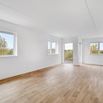 Rent 2 bedroom apartment of 92 m² in Ballerup