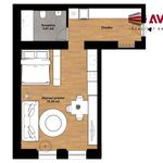 Rent 1 bedroom apartment of 38 m² in Opava