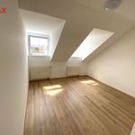 Rent 2 bedroom apartment of 85 m² in Prestice