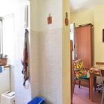 Rent a room of 120 m² in Rome