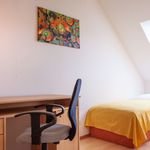 Rent 3 bedroom apartment of 100 m² in Vienna