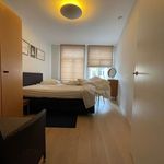 Appartement de 142 m² avec 1 chambre(s) en location à Brugge