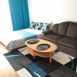 Rent 1 bedroom apartment of 42 m² in Gelsenkirchen