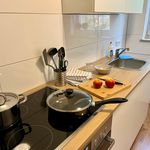 Rent 1 bedroom apartment of 15 m² in Flensburg