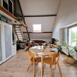 Rent 1 bedroom apartment in Evergem