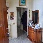 Affitto 4 camera appartamento di 105 m² in Catanzaro