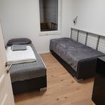 Miete 2 Schlafzimmer wohnung von 63 m² in Albstadt