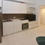 Rent 2 bedroom apartment of 42 m² in Milano