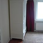 Rent 2 bedroom apartment of 50 m² in Schwerin
