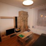 Rent 1 bedroom apartment of 30 m² in České Budějovice