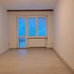 Rent 3 bedroom apartment of 62 m² in Louny