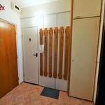 Rent 1 bedroom apartment of 38 m² in Olomouc